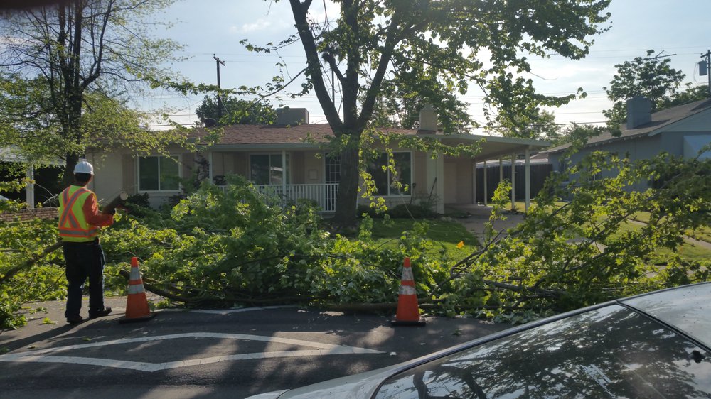 Valley Arbor Care