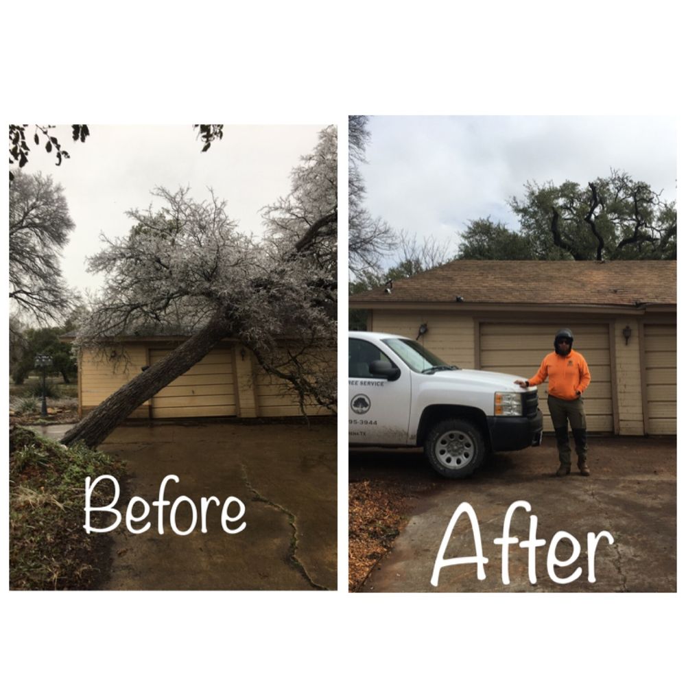 Chuy's Tree Service