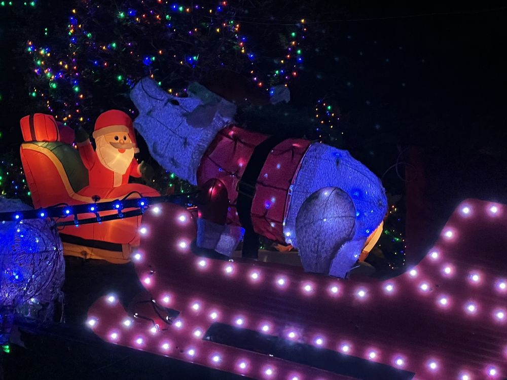 Pig Farm Christmas Light Show
