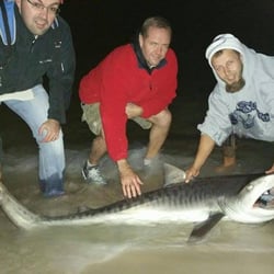 Panama City Beach Shark Fishing The Best Beaches In World Off The Beach Shark Fishing Trips 20 Photos 322