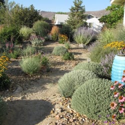 green lizard landscape 13 photos landscaping carson city nv