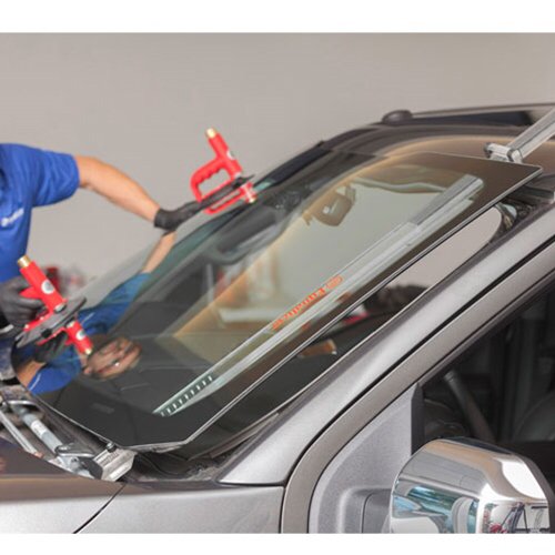 Chapin Auto Glass