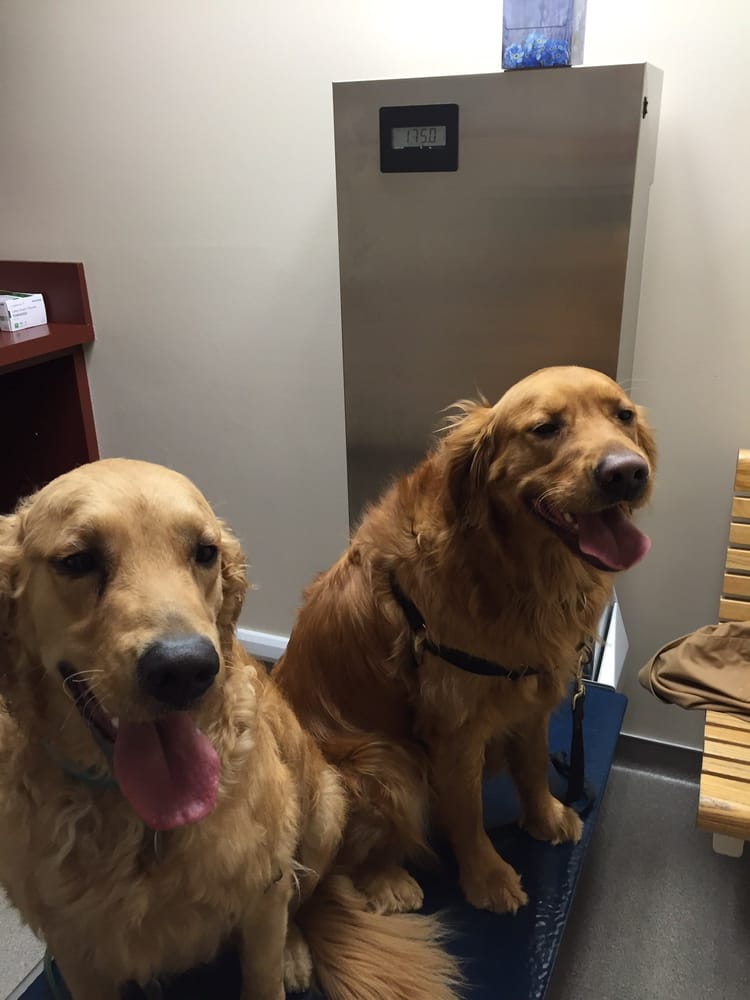 Fairview Veterinary Hospital 16 Photos Veterinarians 6735