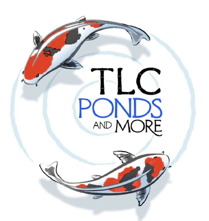 TLC Ponds