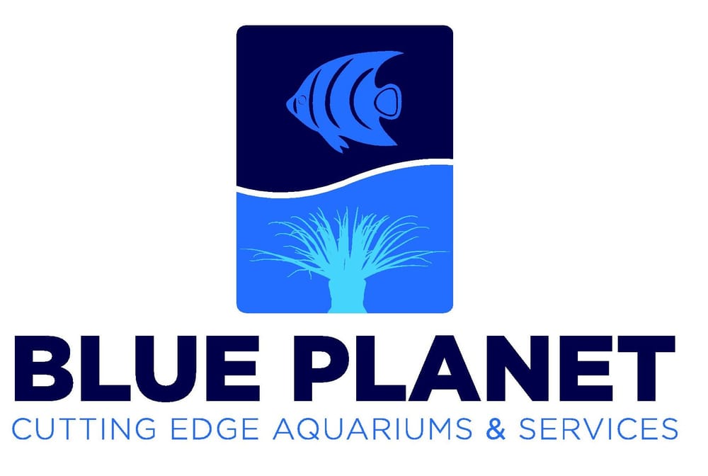 Blue Aquarium Services 20 Photos & 10 Reviews Aquarium