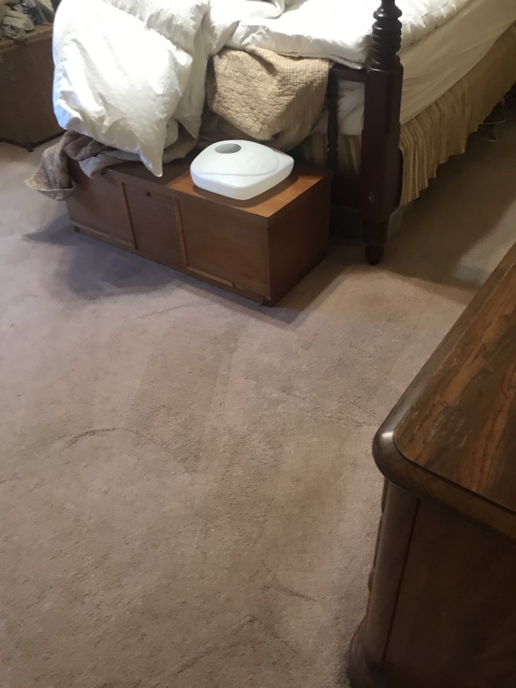 Clean Sofas