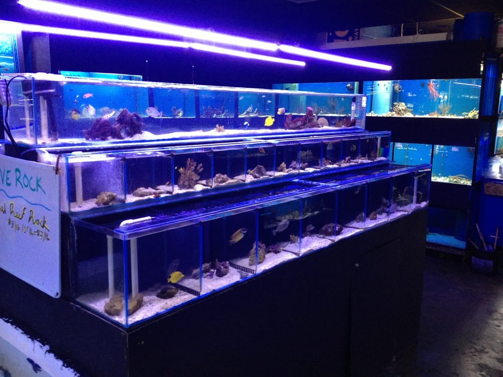 Exotic Aquatic 17 Photos & 13 Reviews Pet Stores 275 E Oakland