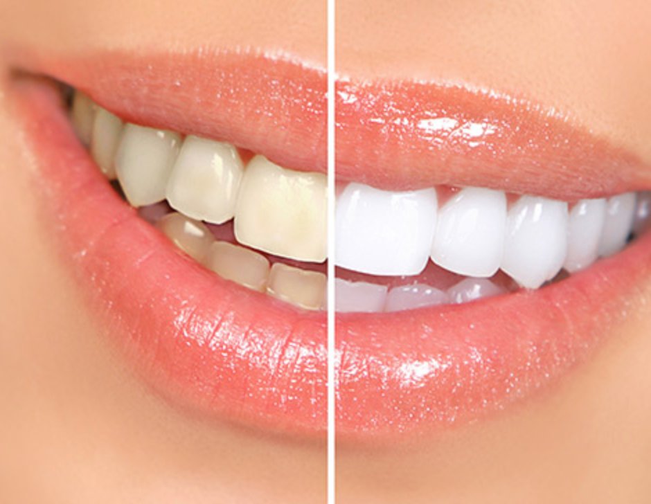 image of business East Hanover Family Dental
