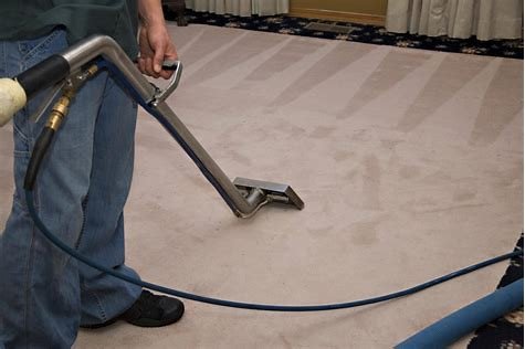 Oxi Fresh Carpet Cleaning