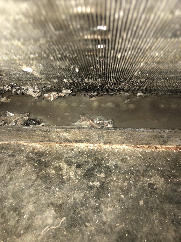 Carolina Property Management