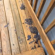 Patterson Heating Air Conditioning Hvac Superior Duct Cleaning