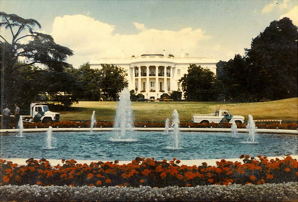 Turf Center Lawns