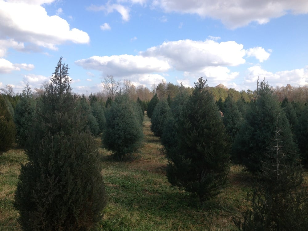 the farm lots and lots of trees yelp the farm lots and lots of trees yelp