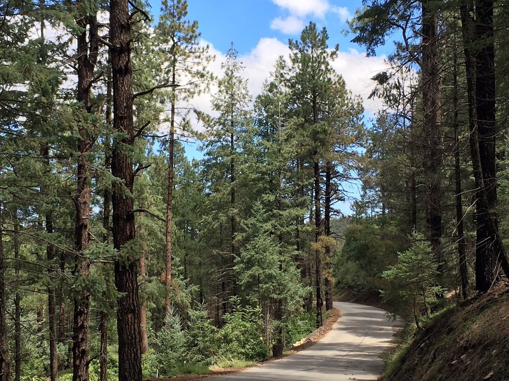 Photos for Lynx Lake - Yelp