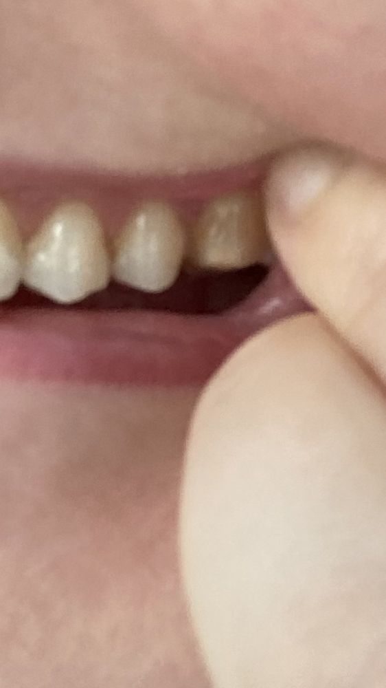 image of business Blooming Dental & Implant Center