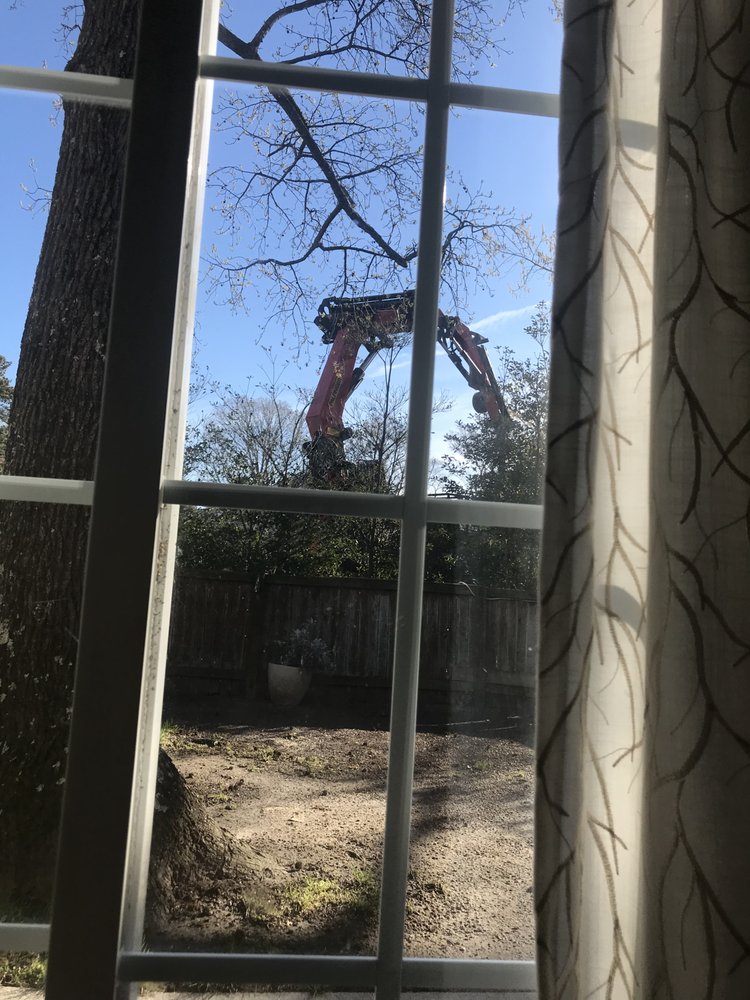 Alley's Tree Service