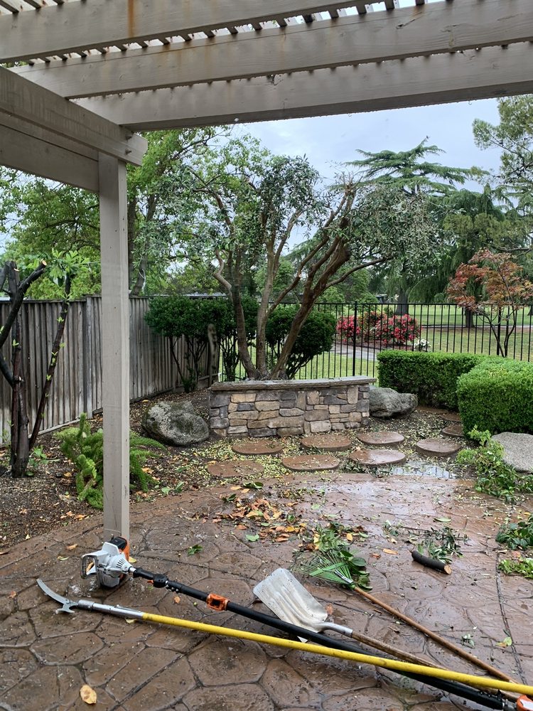 Galvan Tree Service