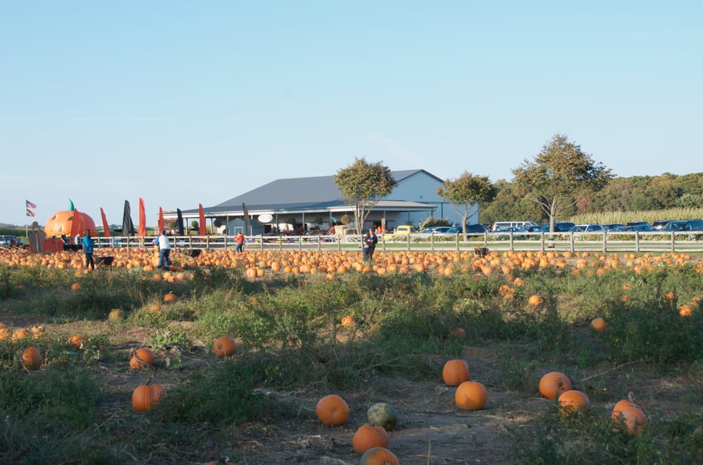 Helen’s Greenhouse 10 Photos Farmers Market 987 Union Ave