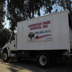 Tree Service San Diego  Photo of American Tree Service SD Inc - San Diego, CA, United States