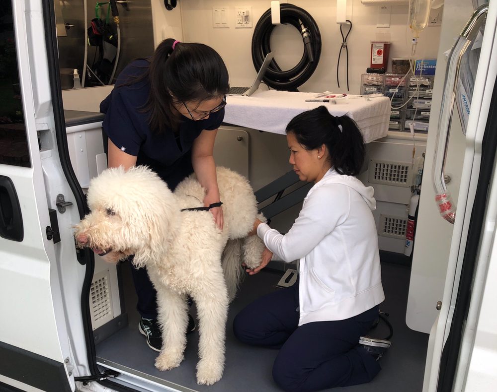 Dr Park Mobile Vet The Best 19 Reviews Veterinarians Beverly Dr Park Mobile Vet The Best 19 Reviews Veterinarians Beverly Hills Ca Phone Number Yelp
