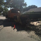 One Day Tree Landscape 159 Photos 221 Reviews Services Photo Of One Day Tree Landscape Los Angeles Ca United States