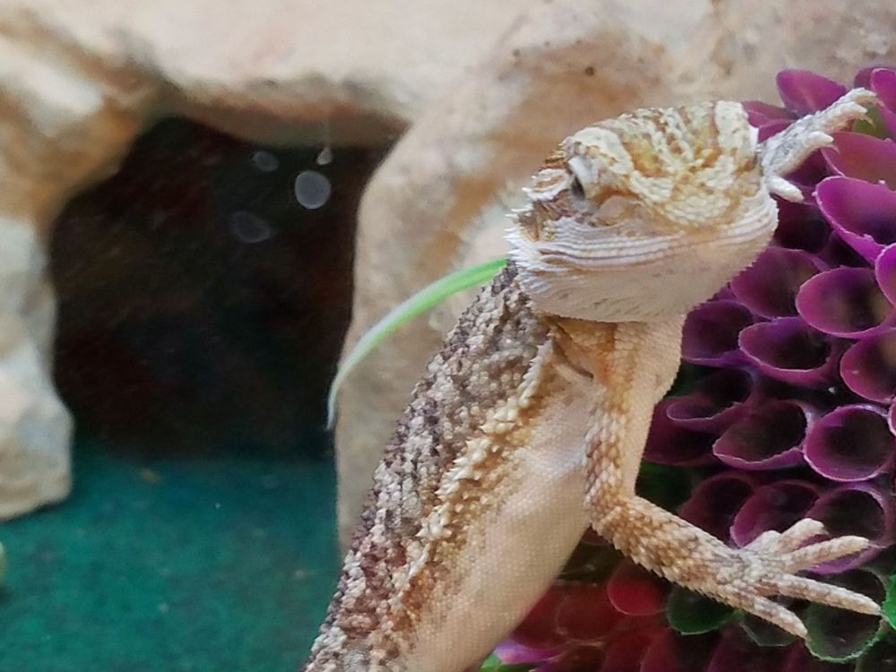 PetSmart 22 Photos & 34 Reviews Pet Stores 5515 W Broad St