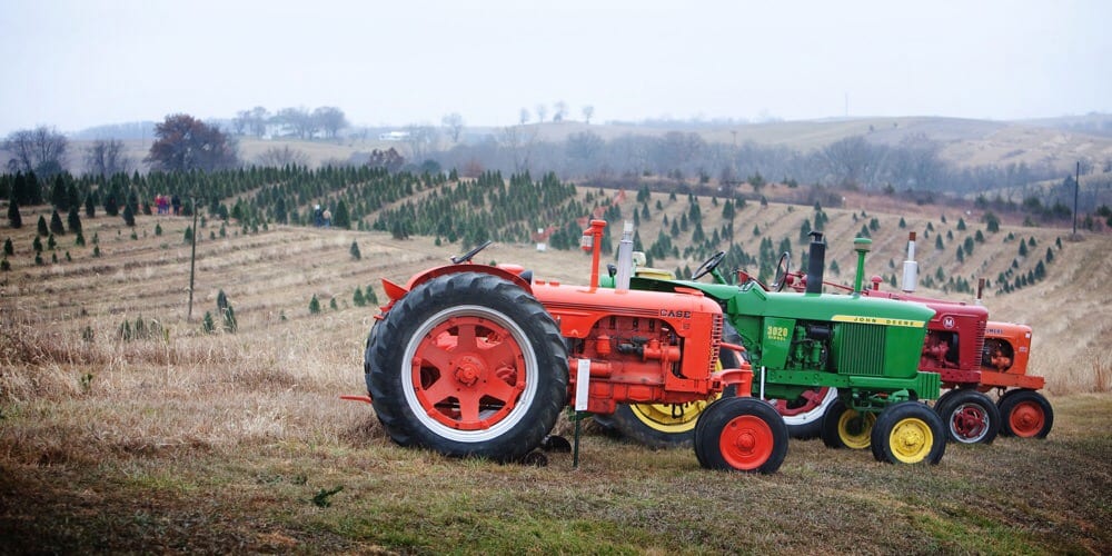 Fulk's Tree Farm