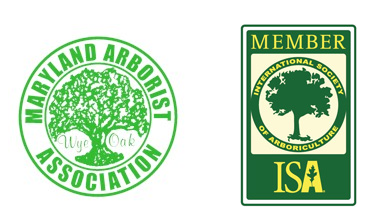 Appalachian Tree Service