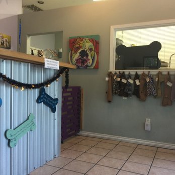 Lucky Dog Grooming 41 Photos 87 Reviews Pet Groomers 9414 Photo Of Lucky Dog Grooming Austin Tx United States Cute Decor