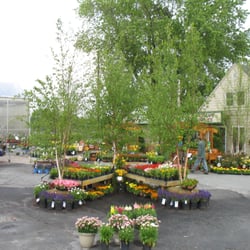 Northeast Nursery Garden Center 20 Reviews Nurseries Gardening Photo Of Northeast Nursery Garden Center Peabody Ma United States Located On
