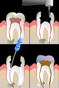 image of business The Dental Center Of Eagan