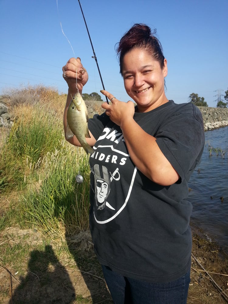 Lake Herman Recreational Area 27 Photos Hiking Lake Herman Rd