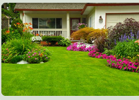 Sabia Landscaping & Tree Service