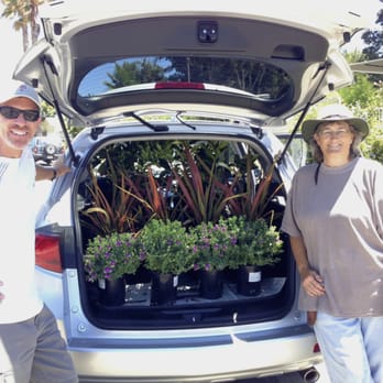 Peter S Garden Center Redondo Beach Ca Peter S Garden Center Redondo Beach Ca