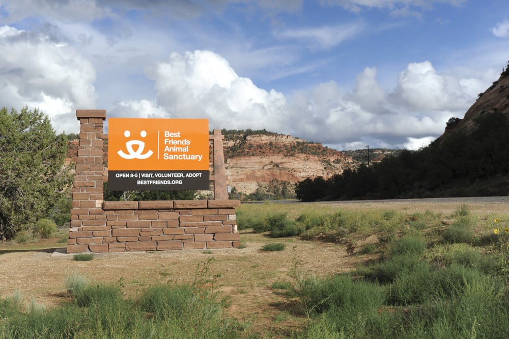 Best Friends Animal Society 140 Photos 84 Reviews Best Friends Animal Society 140 Photos 84 Reviews Shelters 5001 Angel Canyon Rd Kanab Ut Phone Number Yelp