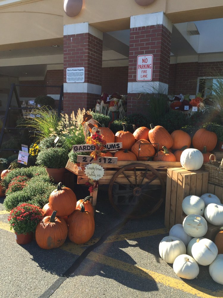 Big Y World Class Market 12 Reviews Grocery 33 Fieldstone Commons, Tolland, CT Phone