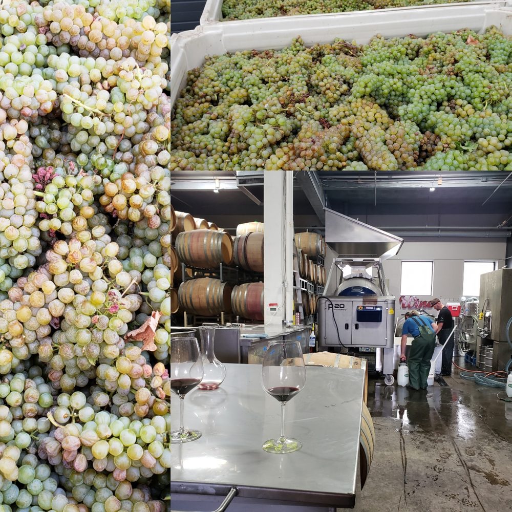 Seattle Urban Wine Tours