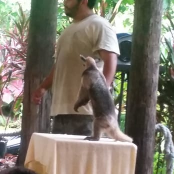 safari adventure miami