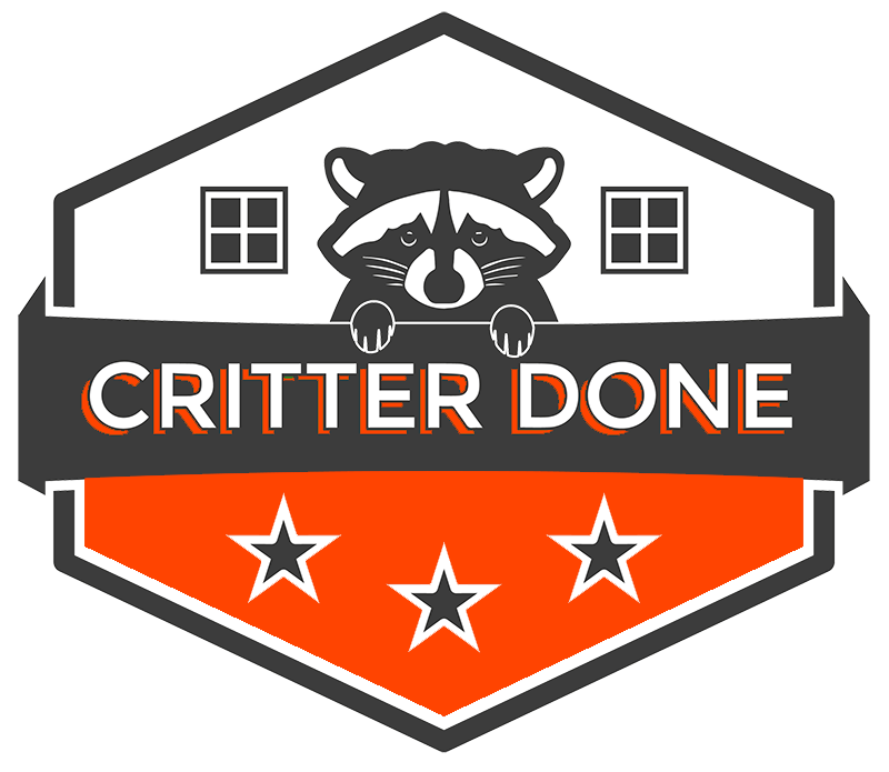 Critter Done Animal Control provides San Antonio, New