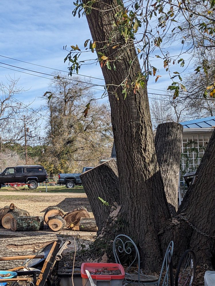 Lobo Tree Service