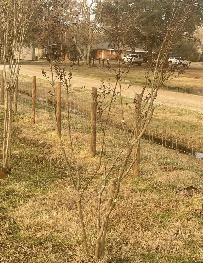 Frost Landscaping and Irrigation