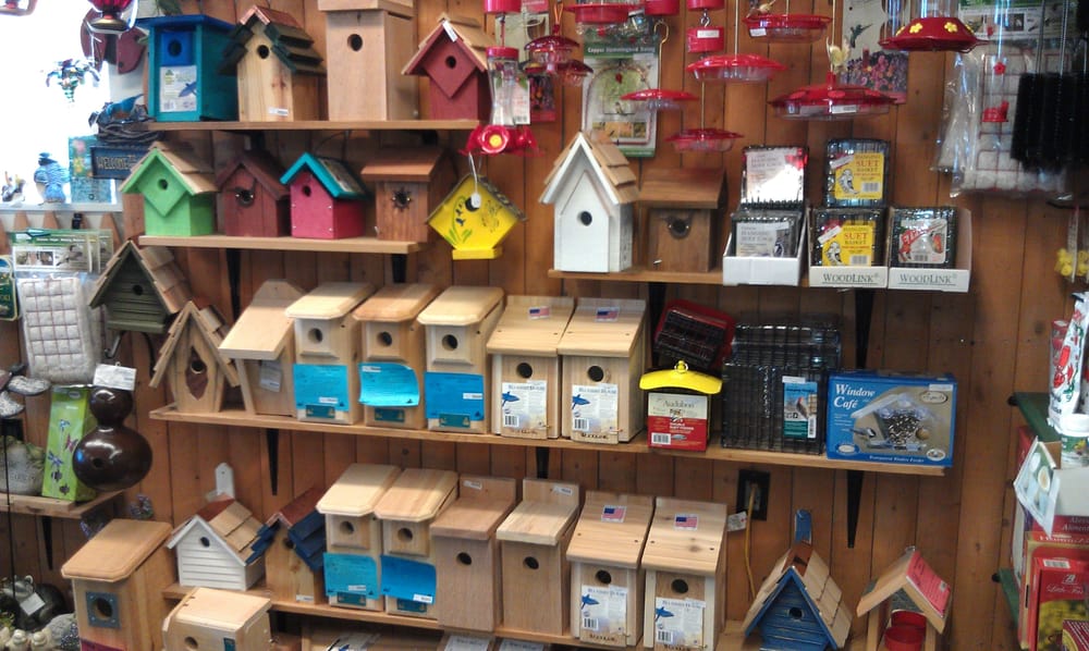 Birds & Beyond Inc