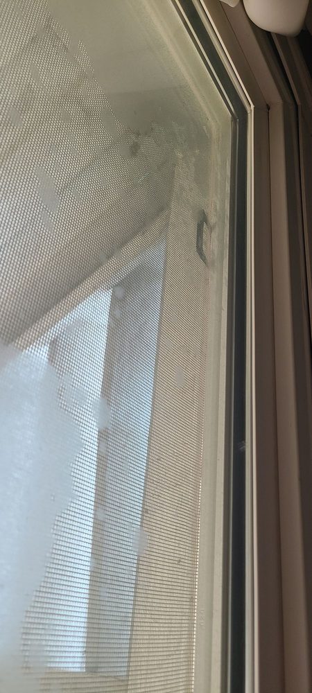 Manor Pest Solutions