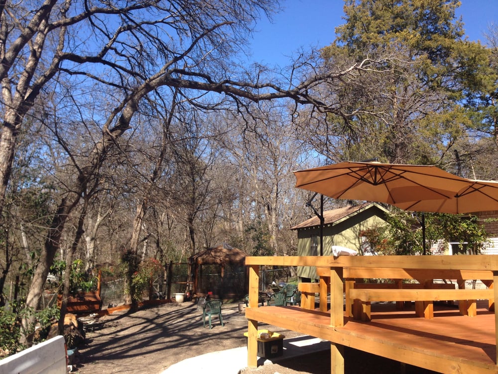 Living Tree Services