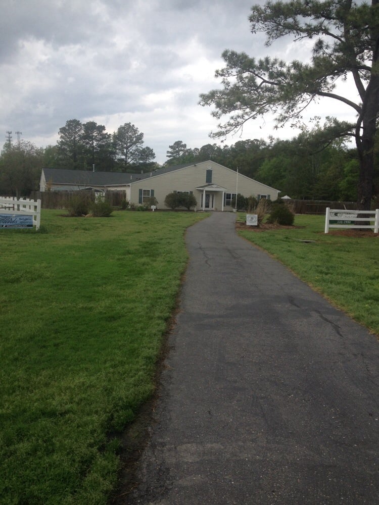 The Pet Resort At Greensprings 11 Reviews Pet Boarding/Pet Sitting