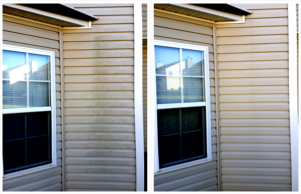 Big Clean HQ Pressure Washing 