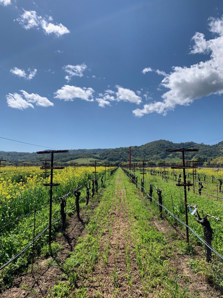 Sunrise Ranch Winery