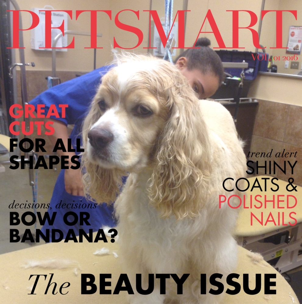 PetSmart Pet Training 1600 Heron Road Unit 1, Ottawa, ON Phone
