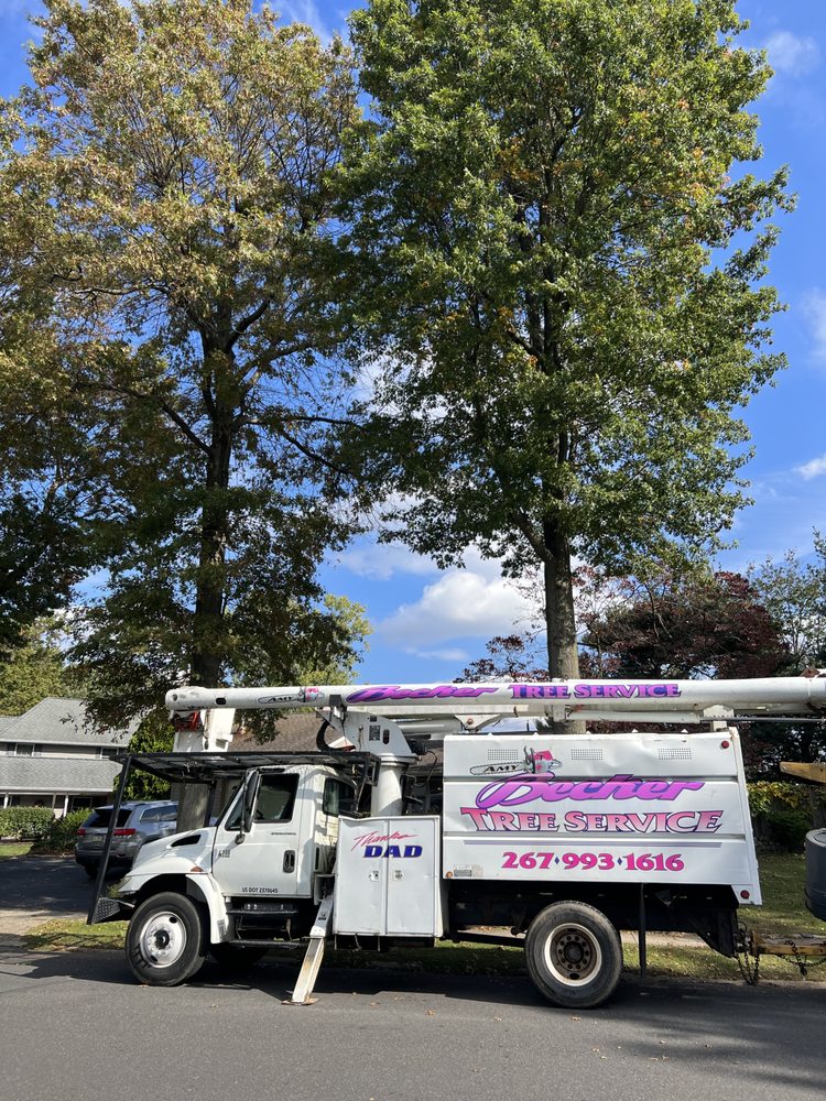 Becker Tree Service