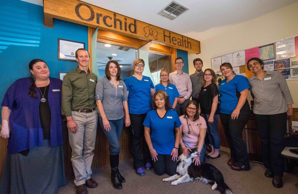 image of business Orchid Health - Oakridge Clinic